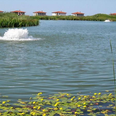 Blacksearama Golf & Villas Balchik Eksteriør billede