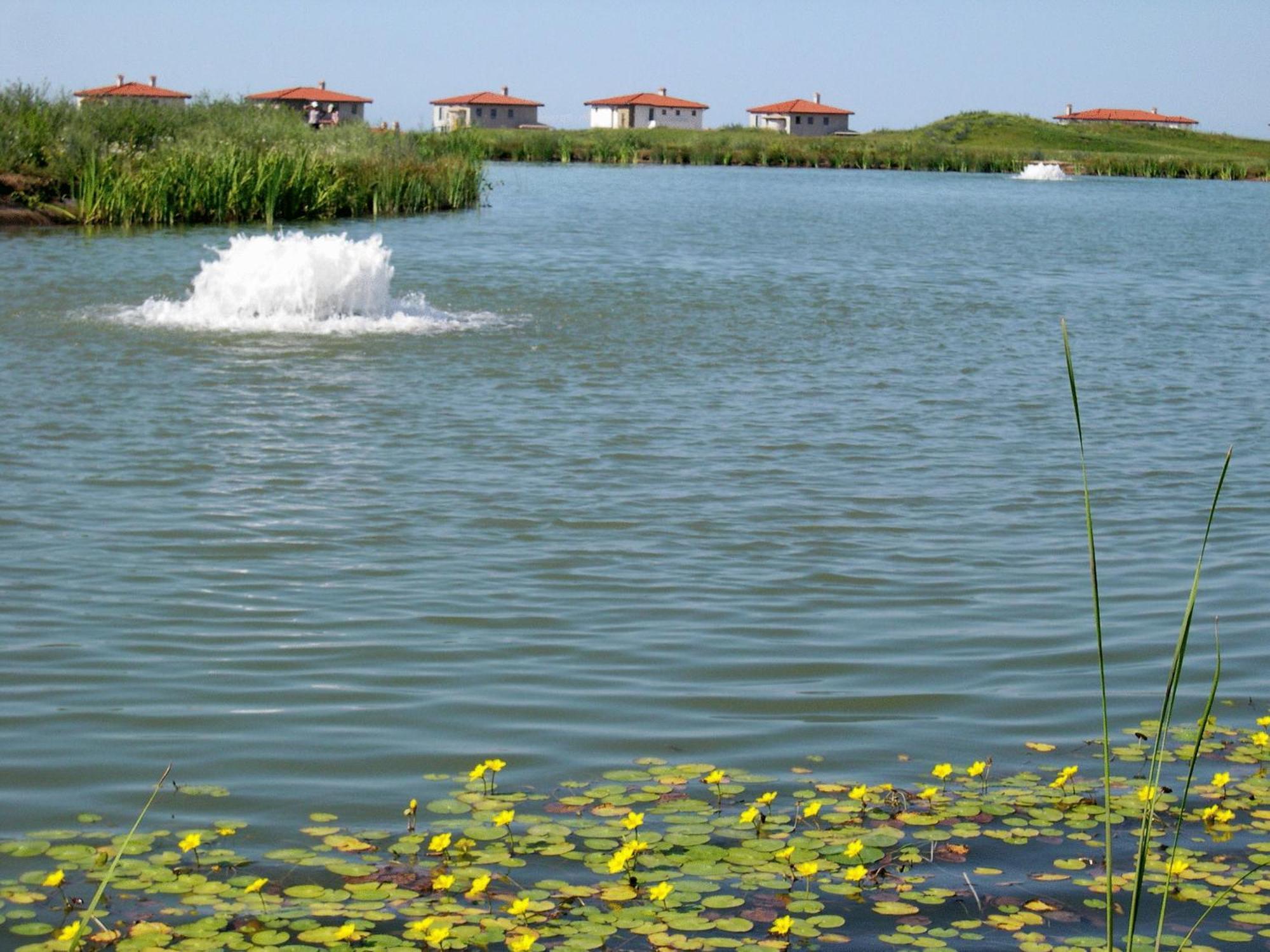 Blacksearama Golf & Villas Balchik Eksteriør billede